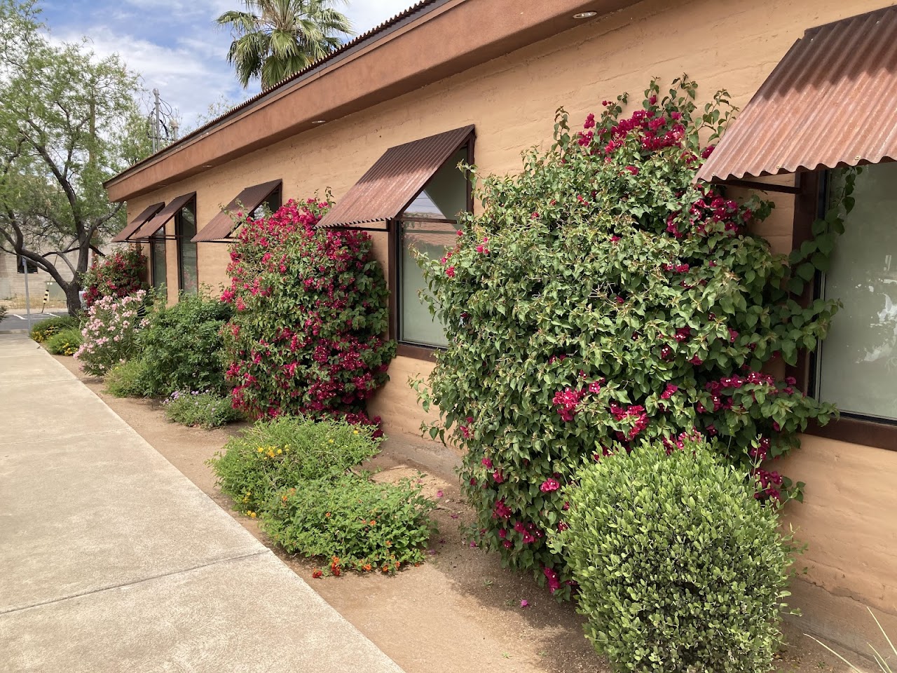 Canyon Valley Landscape project