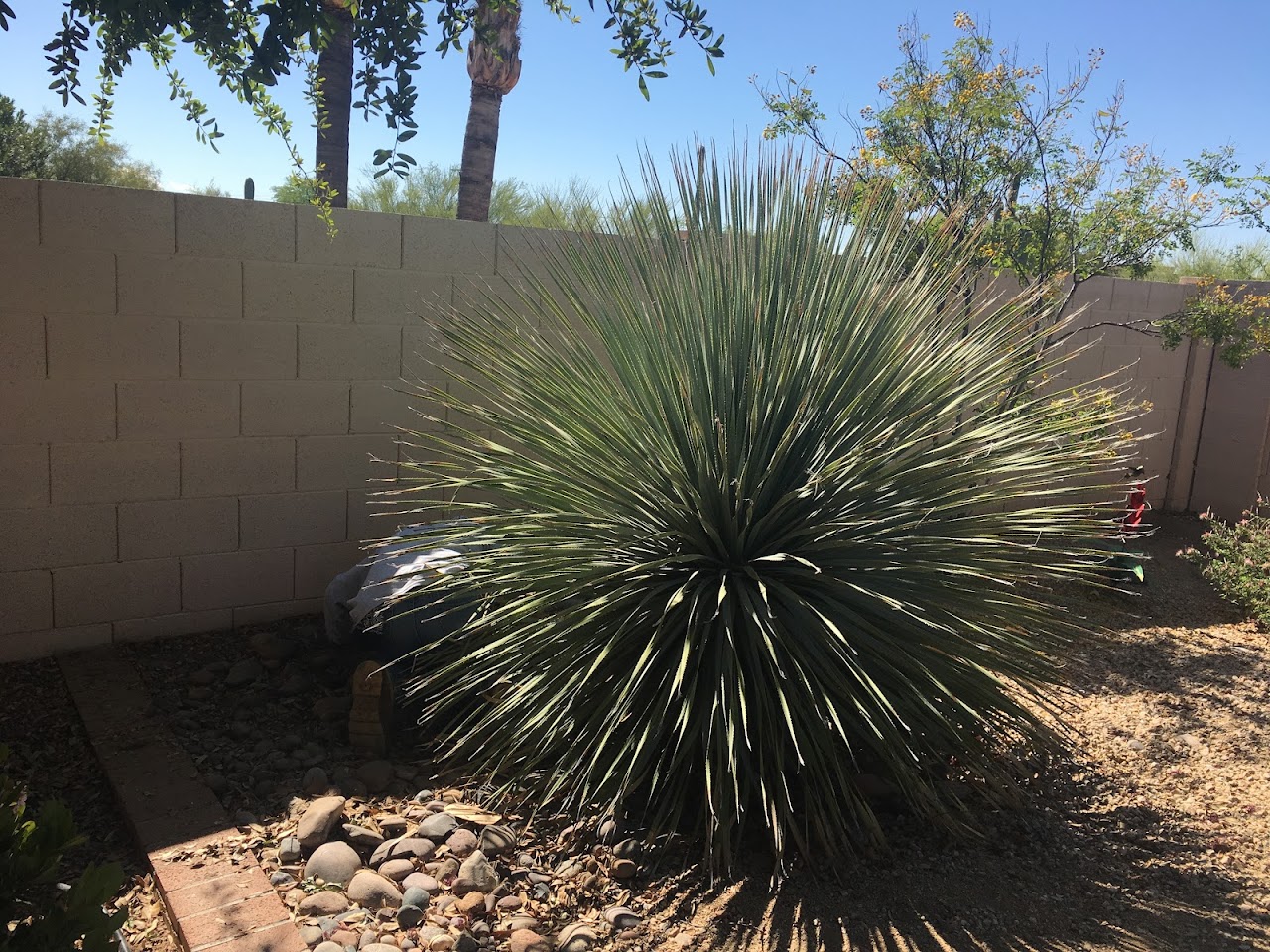 Canyon Valley Landscape project